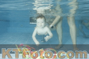 Photo 4307029