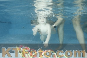 Photo 4307030
