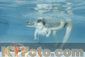 Photo 4307031