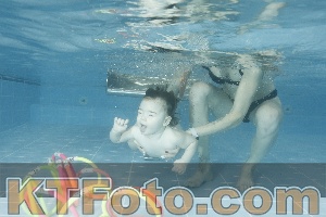 Photo 4307032