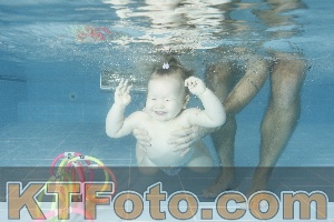 Photo 4307034