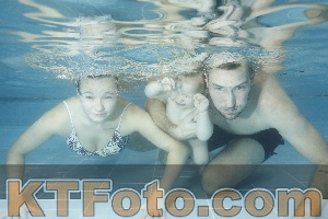 Photo 4307036