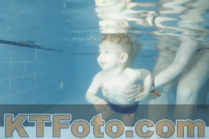 Photo 4307147
