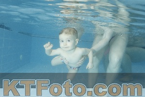 Photo 4307157