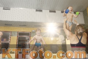 Photo 4307168