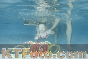 Photo 4307216