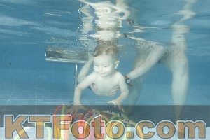 Photo 4307221