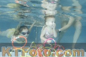 Photo 4307226