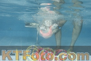 Photo 4307227