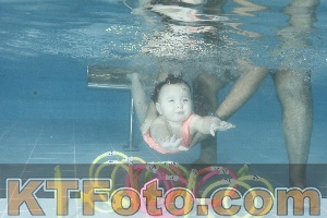 Photo 4307228