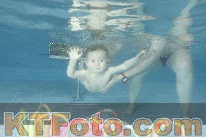Photo 4307232