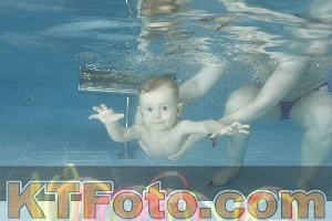 Photo 4307233