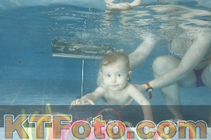 Photo 4307234