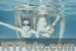 Photo 4307239