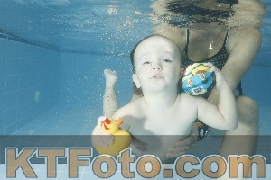 Photo 4307348
