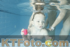 Photo 4307351