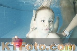 Photo 4307352