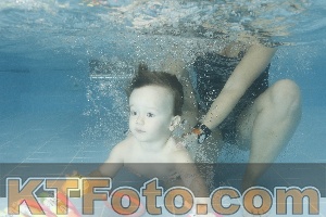 Photo 4307410