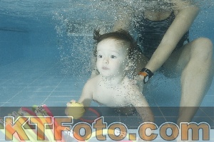 Photo 4307411