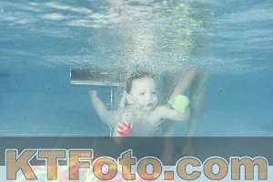 Photo 4307412