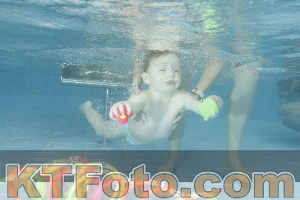 Photo 4307413
