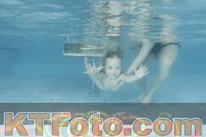Photo 4307415
