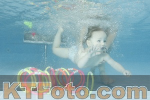 Photo 4307418