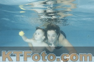Photo 4307426
