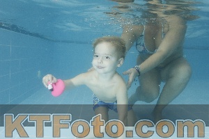 Photo 4307519