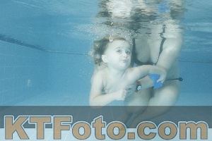 Photo 4307526