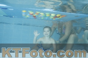 Photo 4307538