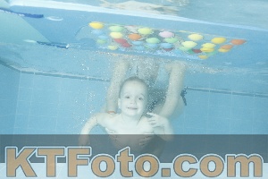 Photo 4307541