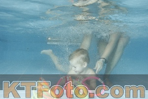 Photo 4307579