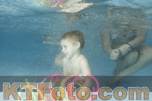 Photo 4307581