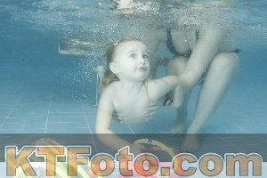 Photo 4307586
