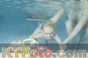 Photo 4307588