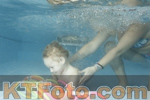 Photo 4307592