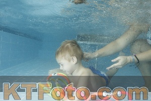 Photo 4307593