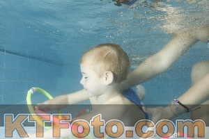Photo 4307594