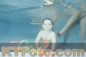 Photo 4307595