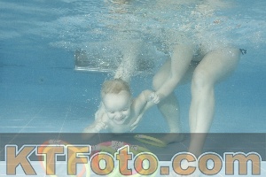 Photo 4307598