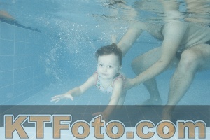 Photo 4307710