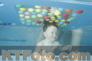 Photo 4307733
