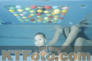 Photo 4307736