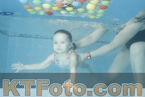 Photo 4307746