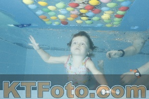 Photo 4307747
