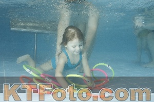 Photo 4307785