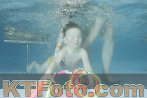 Photo 4307788