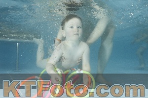 Photo 4307789