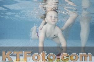 Foto 4222994